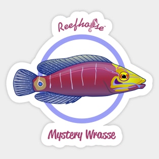 Mystery Wrasse Sticker